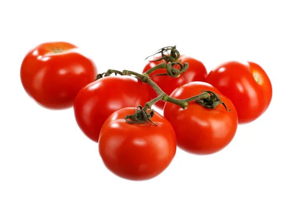 Tomates 2 — Fotografia de Stock