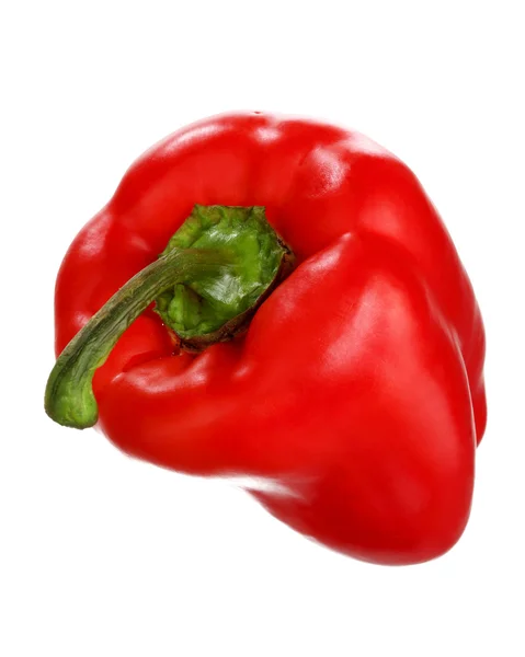 Red organic pepper, isolated — Stock Photo, Image