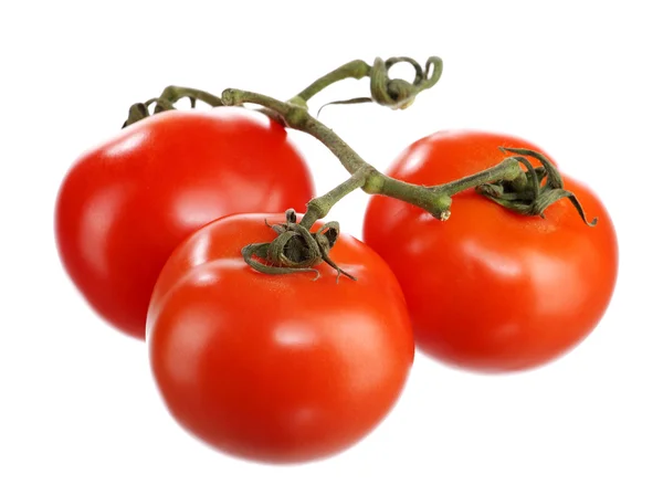 Tomates 3 — Foto de Stock