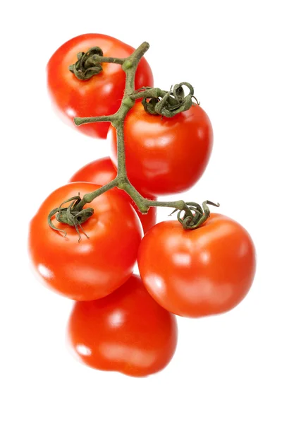 Tomates sobre um fundo branco, isolados — Fotografia de Stock