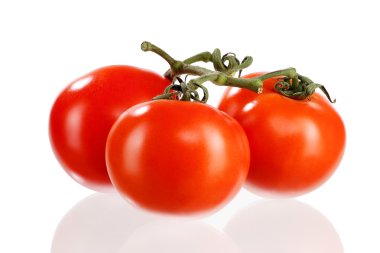Beyaz arkaplanda domatesler