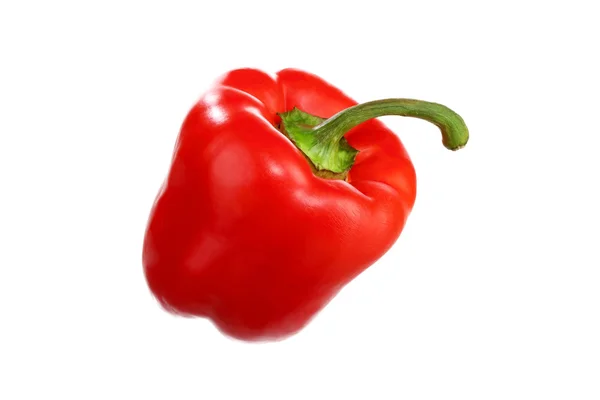 Red sweet pepper, isolated — Stock Photo, Image