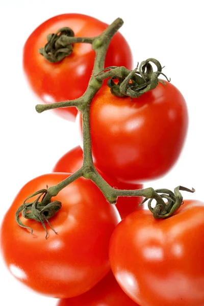 Tomates primer plano — Foto de Stock
