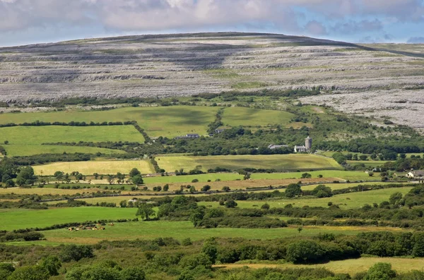 Os campos Burren — Fotografia de Stock