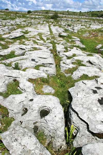 Burren — Zdjęcie stockowe