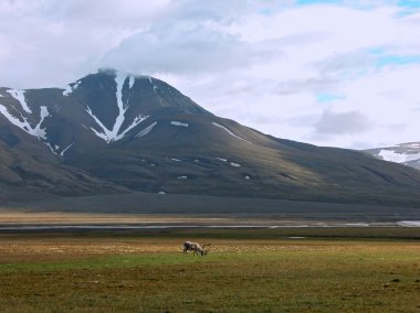 Mountains of Spitsbergen clipart