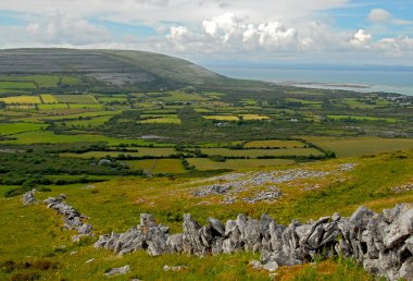 Green fields near Burren in County Clare, Ireland. clipart