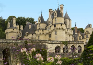 Chateau d'Usse is the inspiration for the fairy-tale castle in Sleeping Beauty clipart