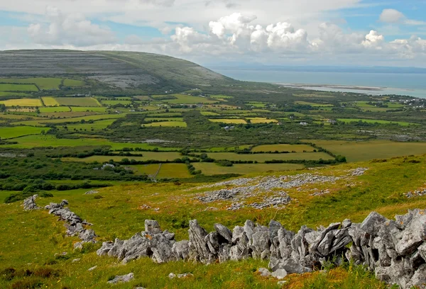 Campi Verdi Vicino Burren Nella Contea Clare Irlanda Fotografia Stock
