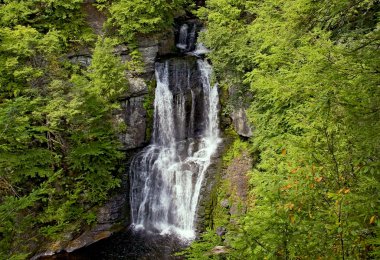 Bushkill Falls clipart