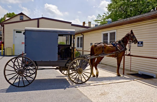 Amish koně a buggy — Stock fotografie