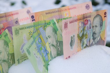 Romanian bank notes in the winter snow clipart