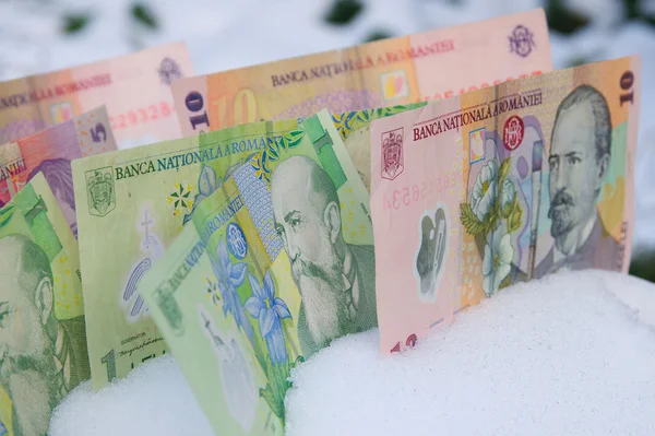 Romanian Bank Notes Winter Snow — Stock Photo, Image