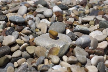 Deniz taşları kompozisyon.