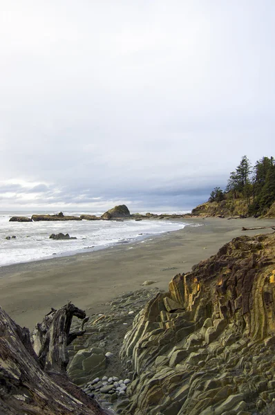 Stock image Rocky Washington Beach