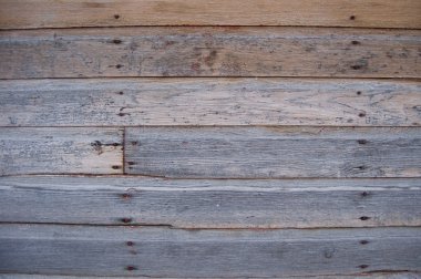 Wood Grain Close-up clipart