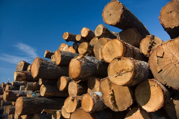 stock image Timber