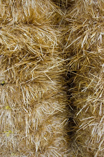 stock image Bales of Hay