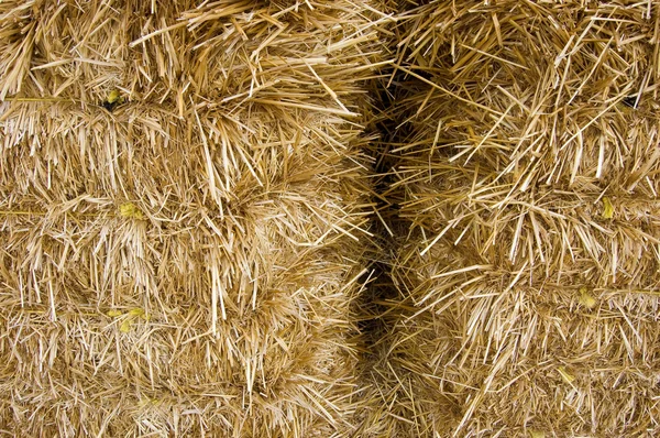 stock image Bales of Hay