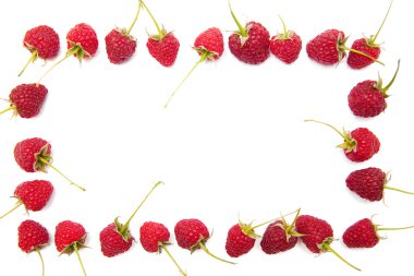 Raspberries clipart