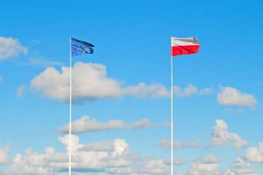 Avrupa Birliği ve Polonya Bayrakları