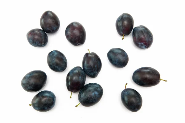 stock image Plums