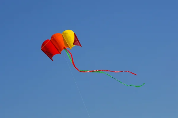 Flying kite — Stockfoto