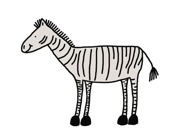 Lustiges Zebra — Stockfoto