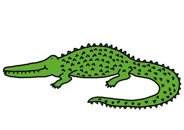 Crocodilo sorridente — Fotografia de Stock