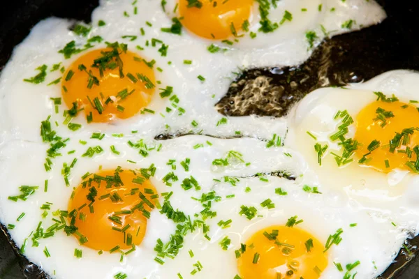 Stock image Fried eggs with fresh chives