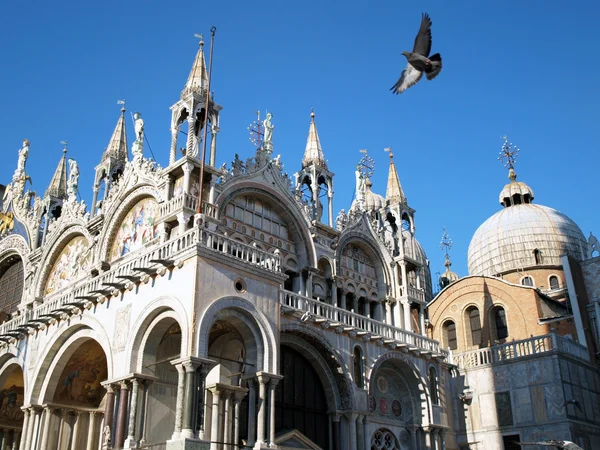 Πλατεία Αγίου Μάρκου, Βενετία — Φωτογραφία Αρχείου