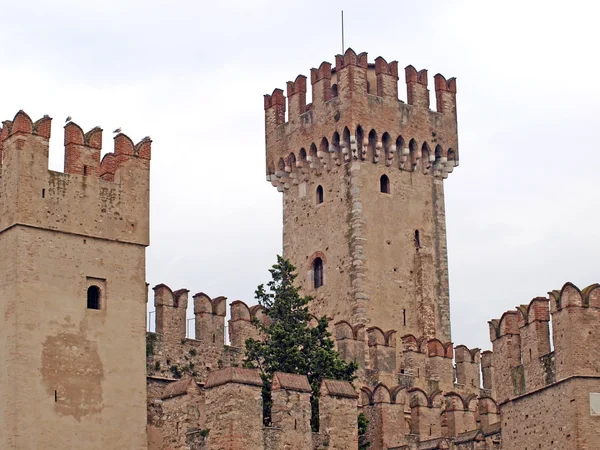 Scaligeri castello — Foto Stock