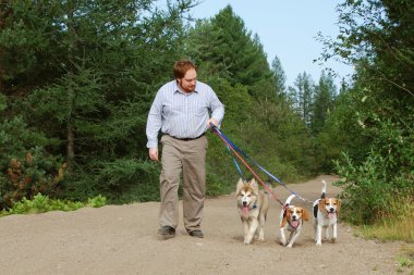 Man Walking Dogs on Nature Trail clipart