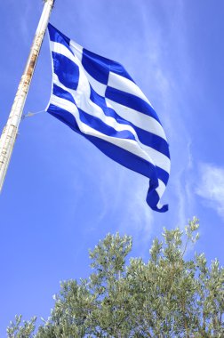 Yunan bayrağı ve zeytin ağacı