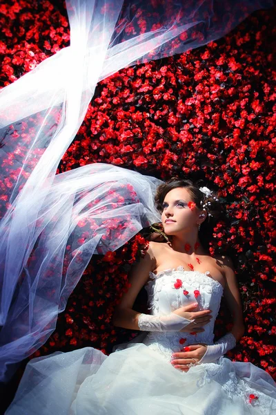 Braut in Blumen — Stockfoto