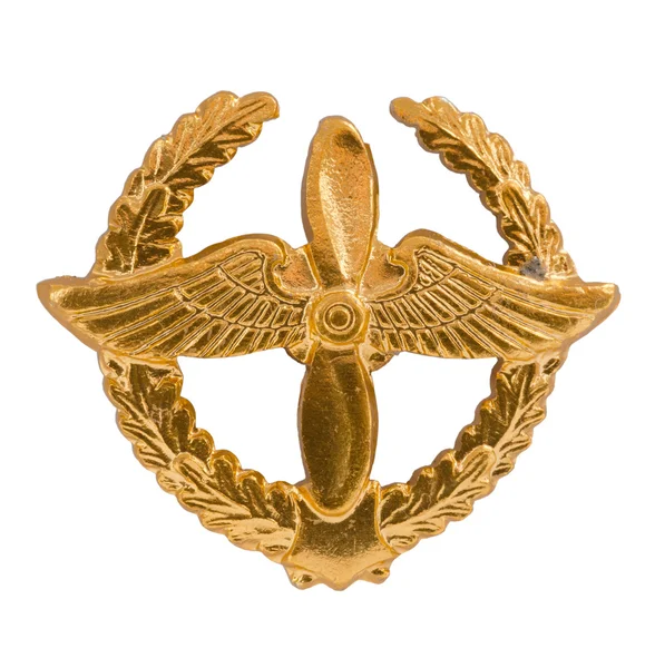 Emblema de las Fuerzas Aéreas — Foto de Stock