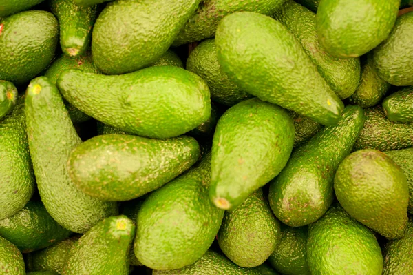 Багато Зелені Авокадо Стокове Зображення
