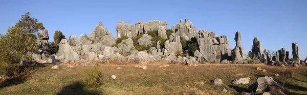 stock image Stone forest shilin yunnan province china