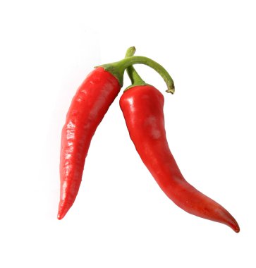 Chilli peppers clipart