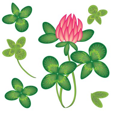 Clover . Background for design. Vector-Illustration. clipart