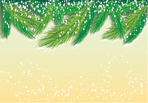 Pine-tree background — Stock Vector