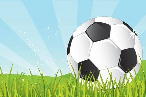 Футбольный мяч в траве — стоковый вектор