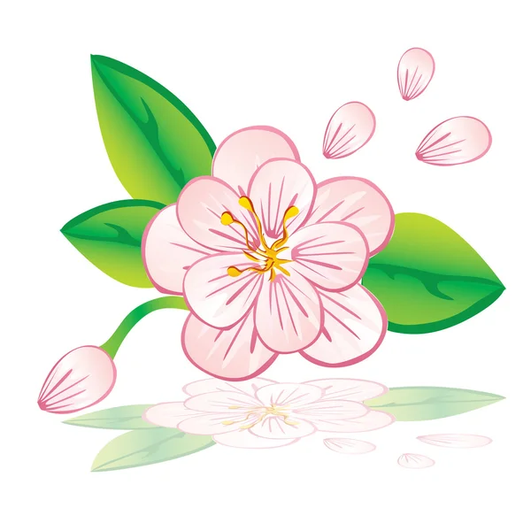 Flores rosadas fondo sin costuras — Vector de stock