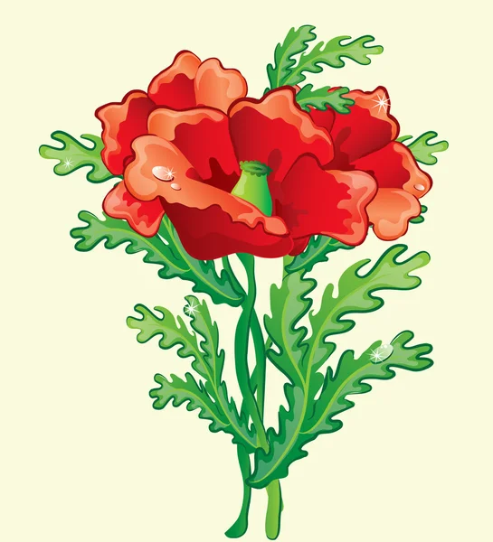 Bouquet de coquelicots — Image vectorielle