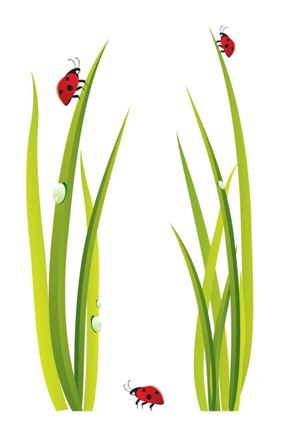 Ilustracja zielone liście z biedronkami - wektor — Wektor stockowy