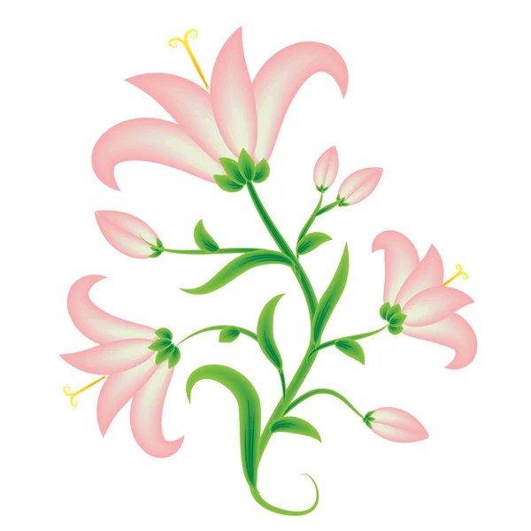 Růžová Lily — Stockový vektor