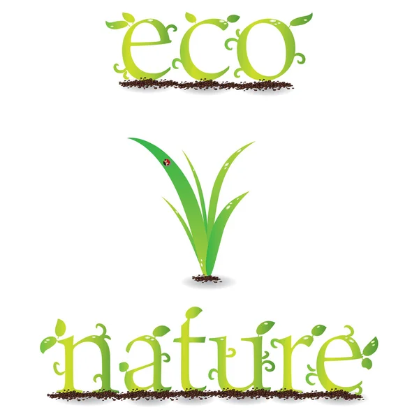 Ilustração folhas eco-verdes com joaninhas - vetor — Vetor de Stock
