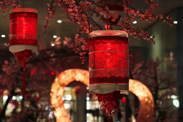 中国纸红灯笼挂在樱花树上 — 图库照片