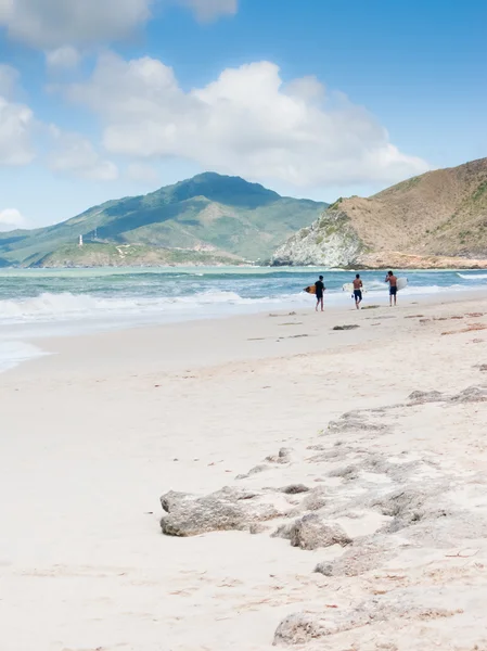 Vista de praia com 3 surfistas Fotos De Bancos De Imagens Sem Royalties