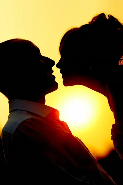 Gün batımında yeni evliler — Stok fotoğraf